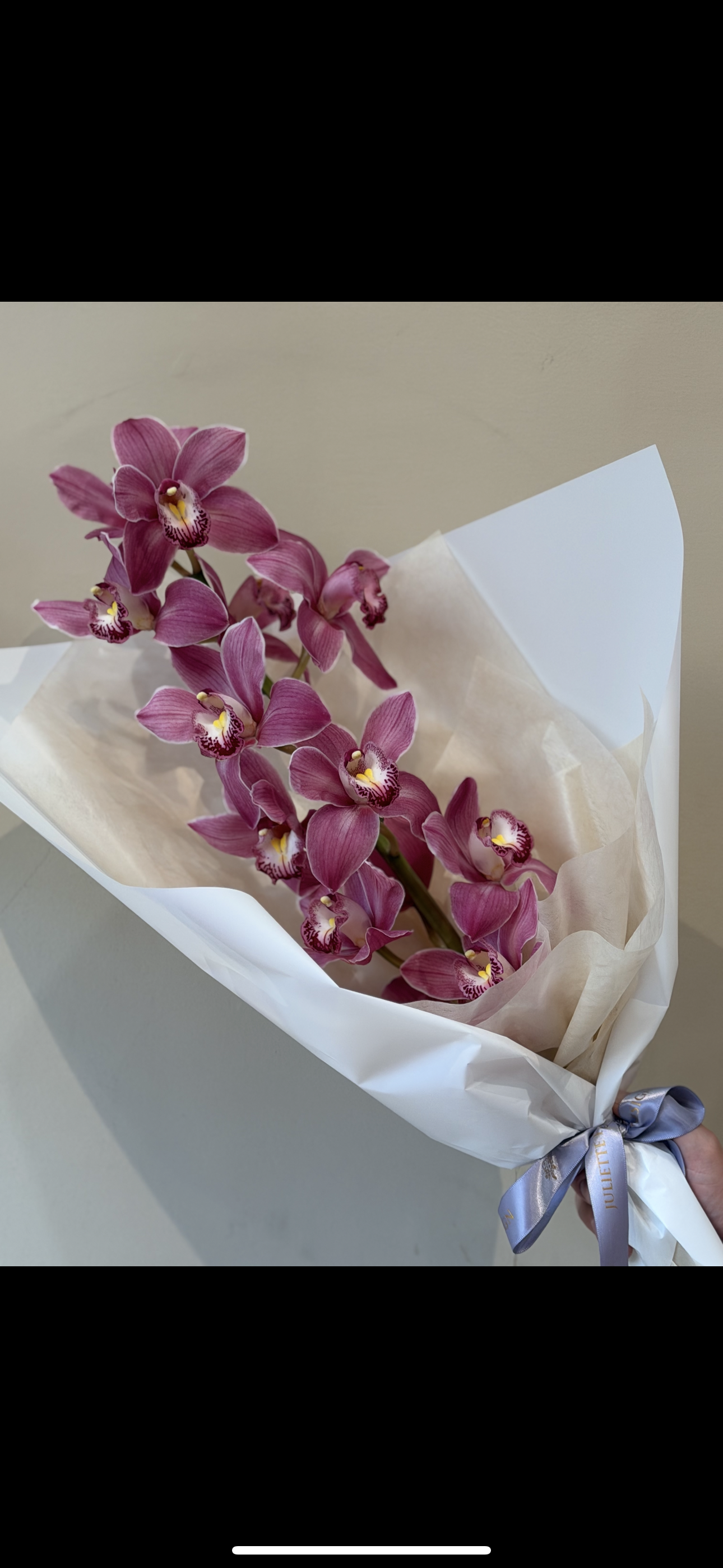 Orchid